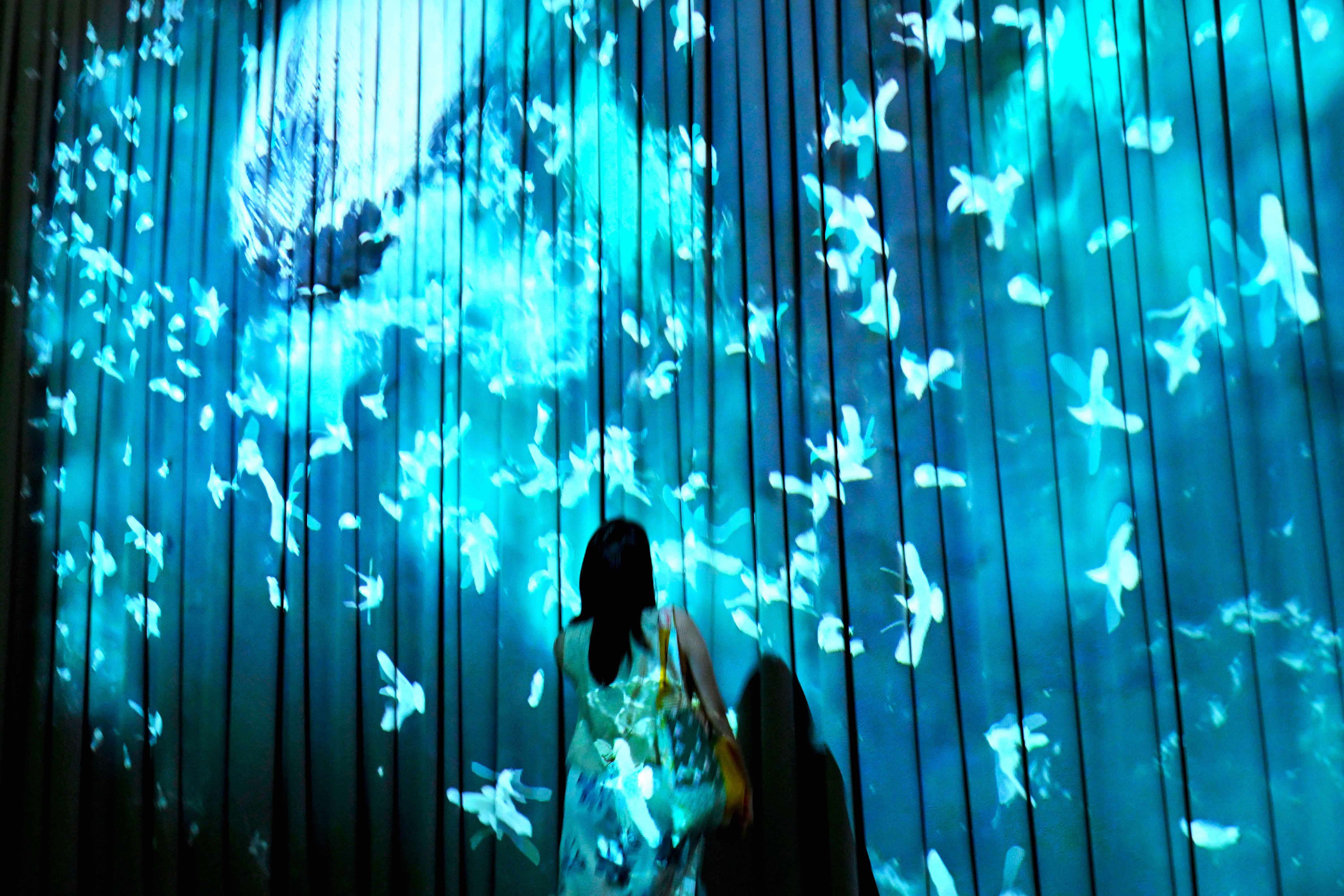 ONE Ocean: Every Action Ripples